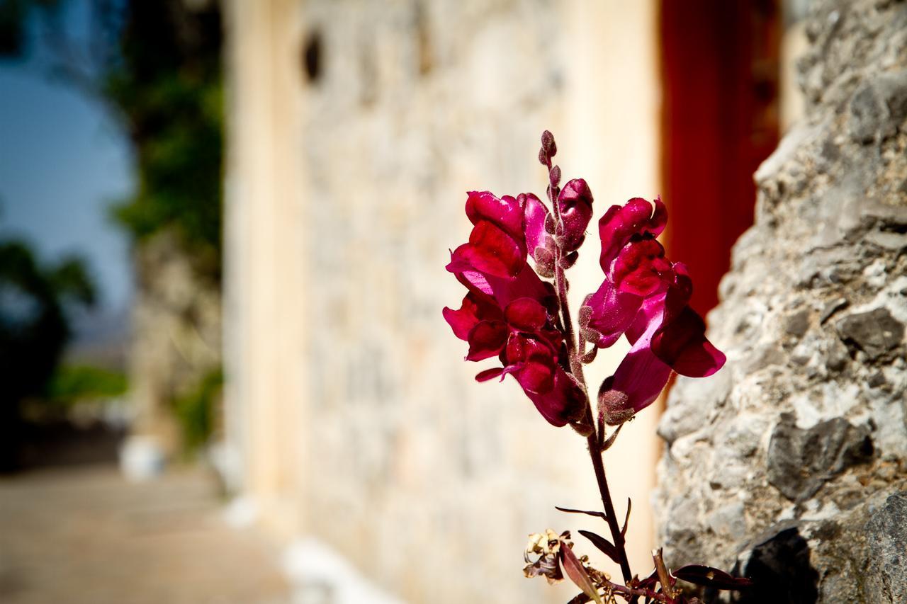 Monastiraki Traditional Guest House Monastirakion  Exterior foto